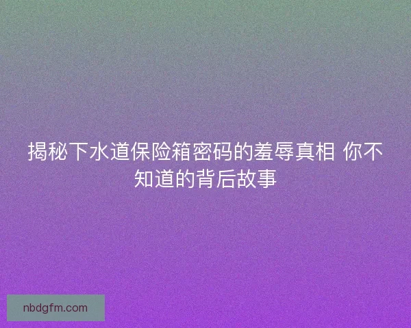 揭秘下水道保险箱密码的羞辱真相 你不知道的背后故事