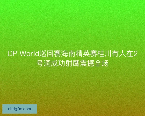 DP World巡回赛海南精英赛桂川有人在2号洞成功射鹰震撼全场