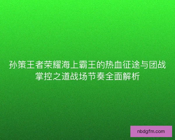 孙策王者荣耀海上霸王的热血征途与团战掌控之道战场节奏全面解析